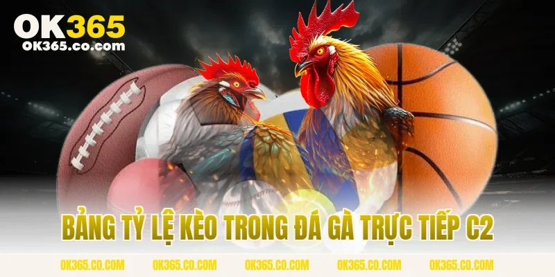 Bảng Tỷ Lệ Kèo Trong Đá Gà Trực Tiếp C2 