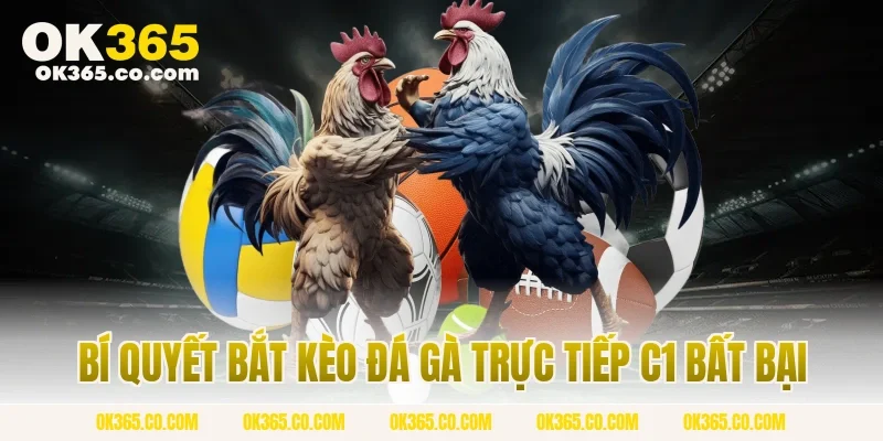 Bí Quyết Bắt Kèo Đá Gà Trực Tiếp C1 Bất Bại