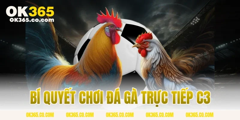 Bí Quyết Chơi Đá Gà Trực Tiếp C3