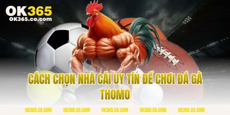 Cách Chọn Nhà Cái Uy Tín Để Chơi Đá Gà Thomo