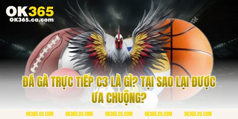 Đá Gà Trực Tiếp C3 Là Gì? Tại Sao Lại Được Ưa Chuộng?