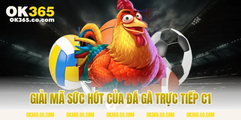 Giải Mã Sức Hút Của Đá Gà Trực Tiếp C1
