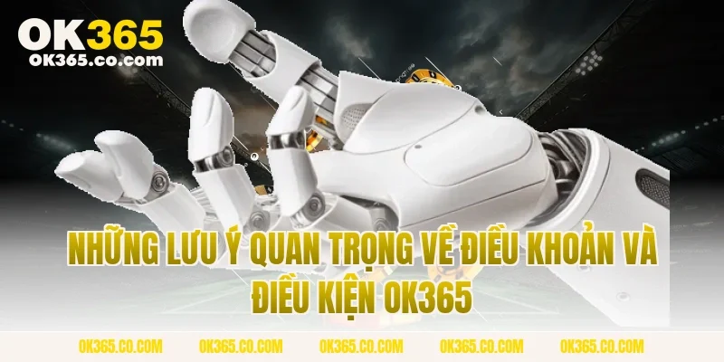 Những Lưu Ý Quan Trọng Về Điều Khoản Và Điều Kiện OK365